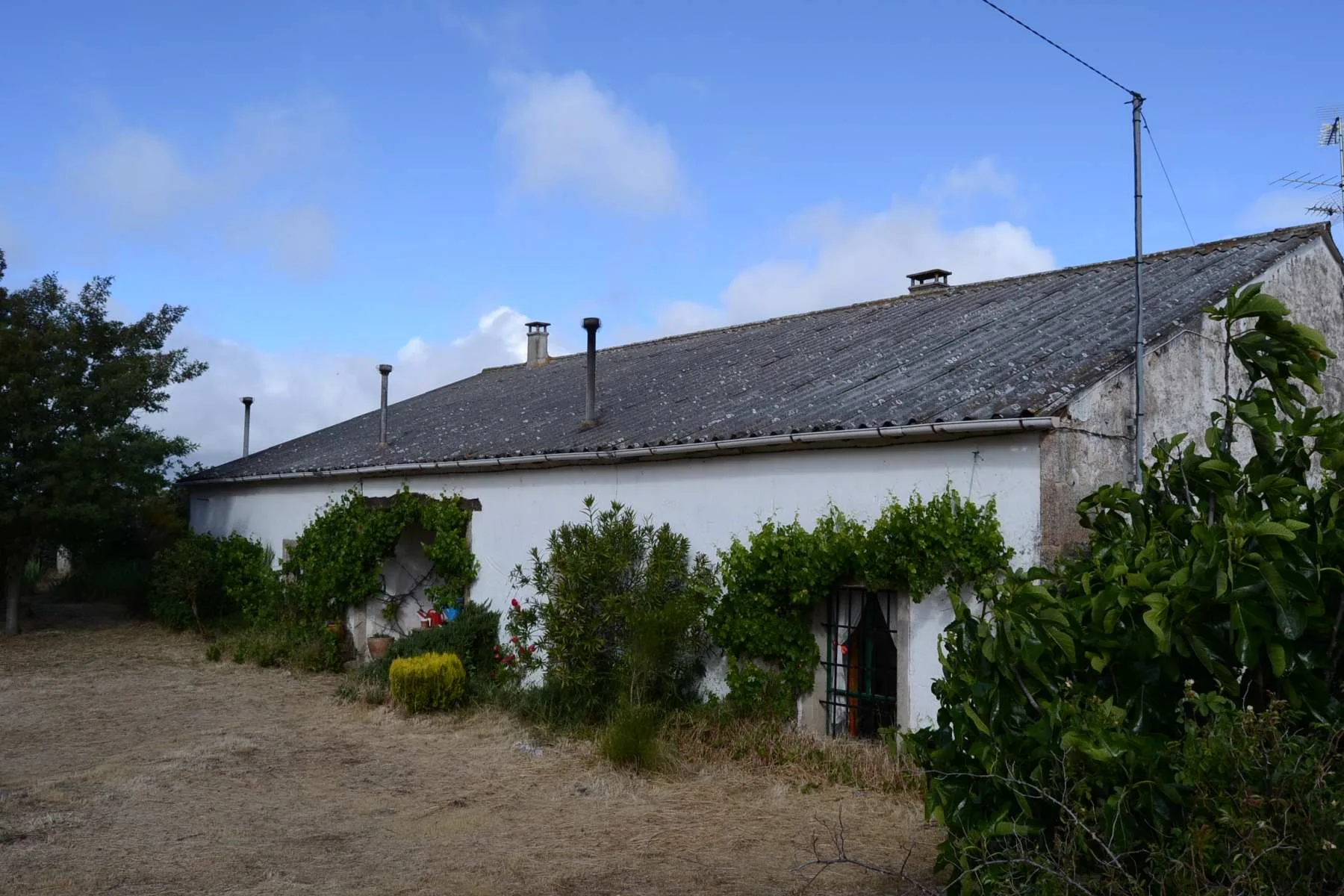 Fachada
