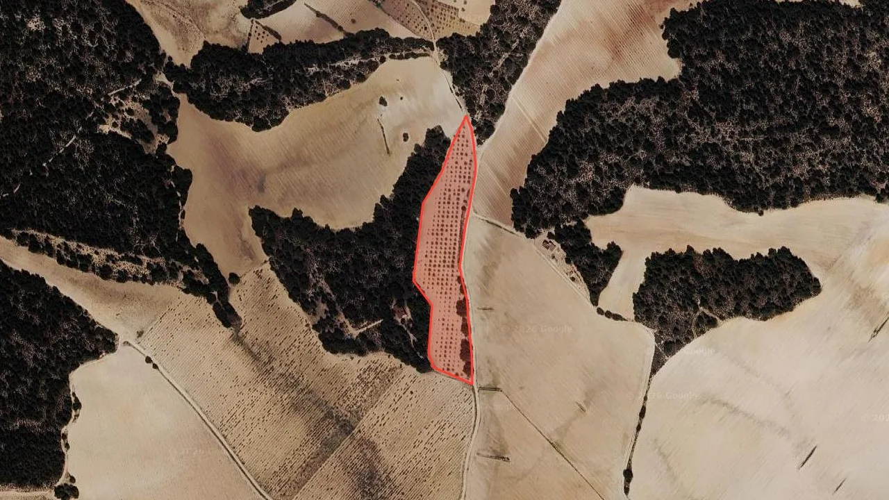 Satélite cenital