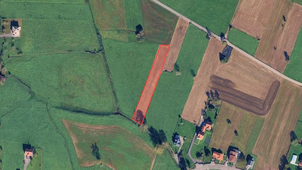 Satélite cenital